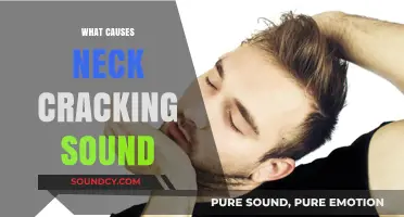 Understanding the Causes of Neck Cracking Sounds: Facts and Myths