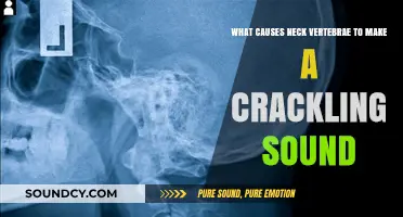 Exploring the Reasons Behind Neck Vertebrae Crackling Sounds