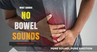 Understanding Silent Abdomen: Causes of Absent Bowel Sounds Explained
