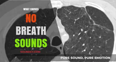 Understanding Silent Lungs: Causes of Absent Breath Sounds Explained