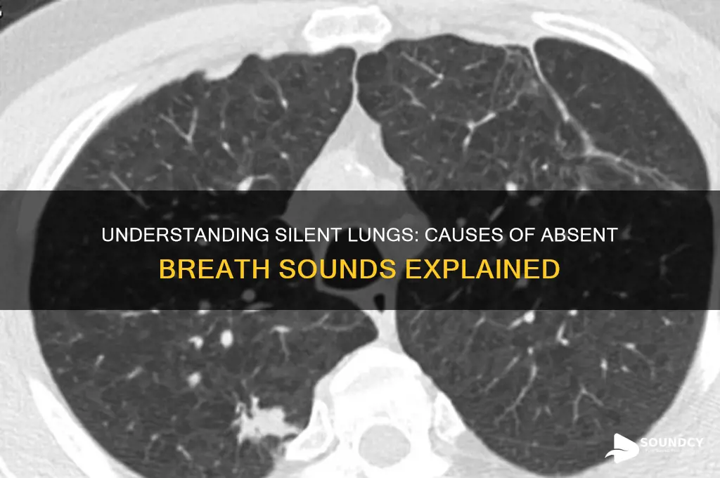 what causes no breath sounds