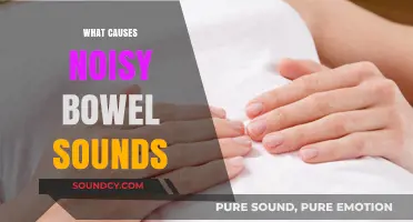 Understanding Noisy Bowel Sounds: Causes and When to Seek Help