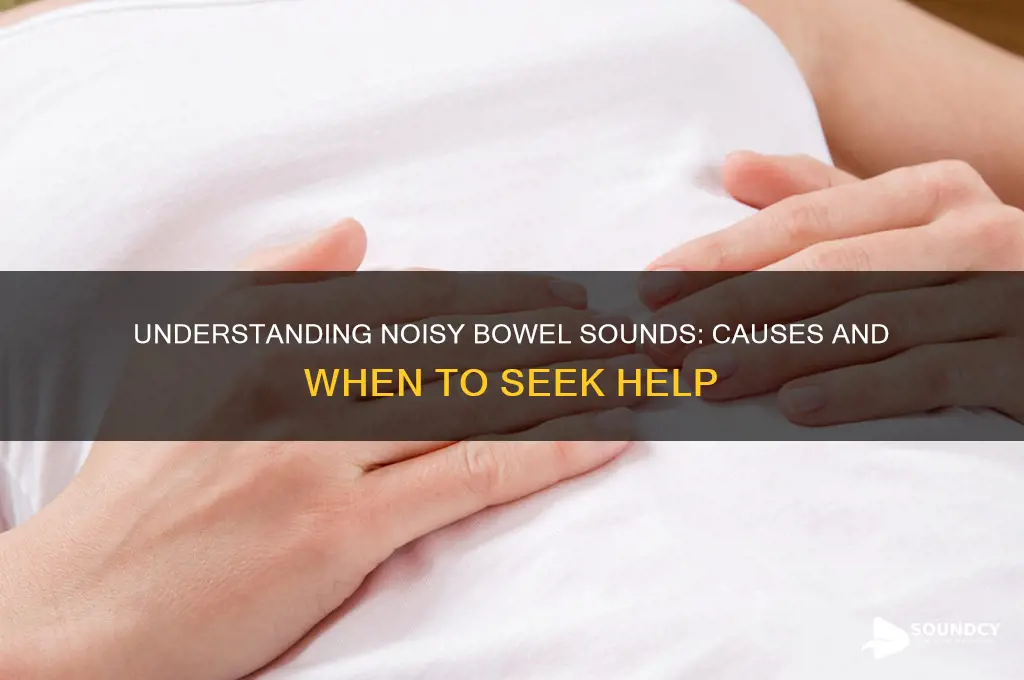 what causes noisy bowel sounds
