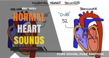 Understanding the Origins of Normal Heart Sounds: A Comprehensive Guide