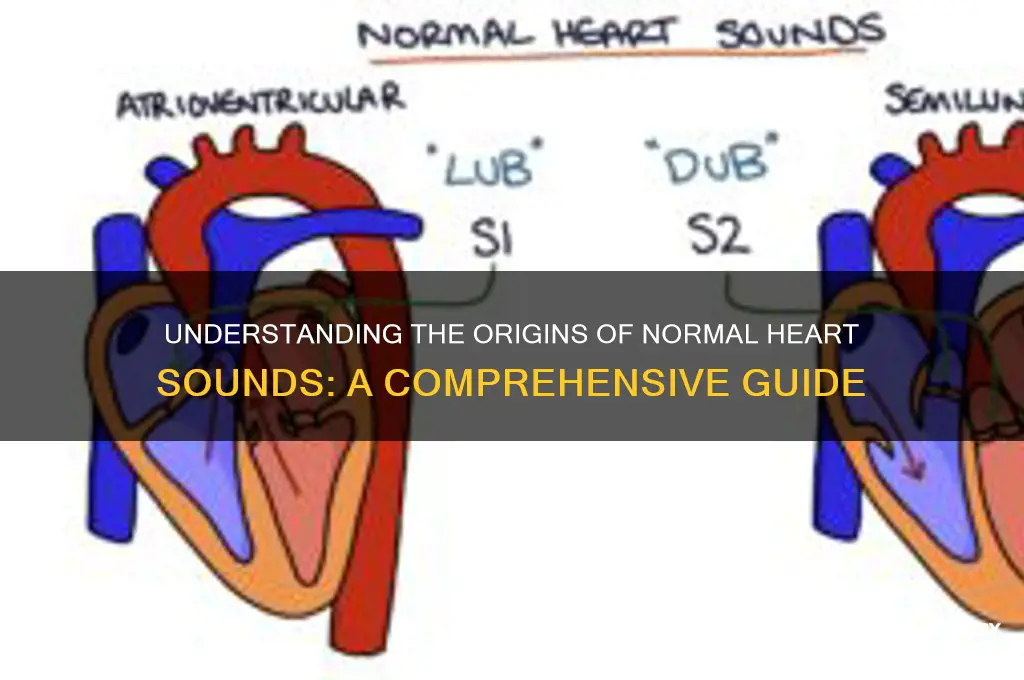 what causes normal heart sounds