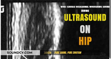 Exploring the Mystery of Whooshing Sounds During Hip Ultrasounds