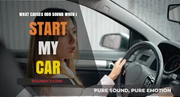Unusual Noises When Starting Your Car: Causes and Solutions