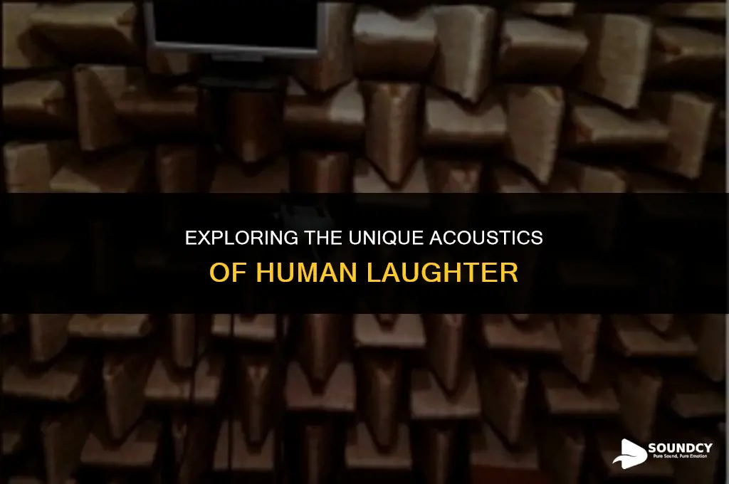 what causes our laugh to sound ka certain way