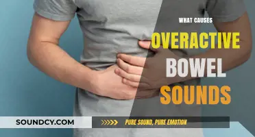 Understanding Overactive Bowel Sounds: Causes and Contributing Factors Explained
