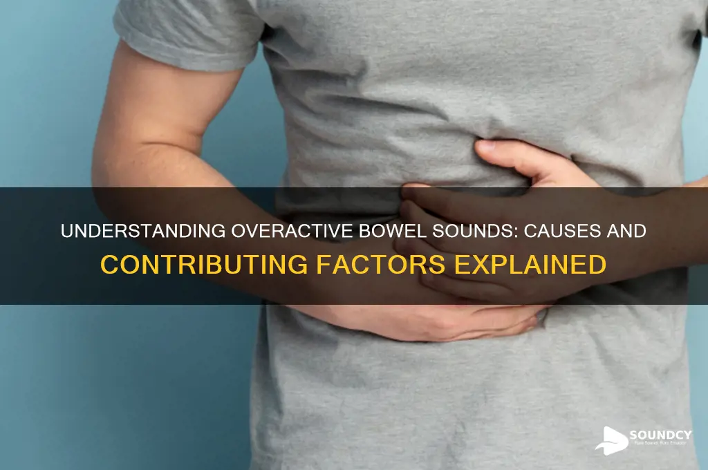 what causes overactive bowel sounds