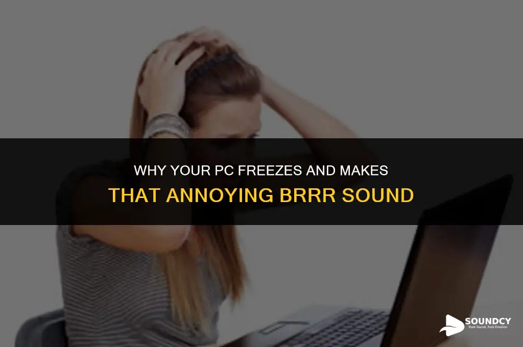 what causes pc to freeze and make brrr sound