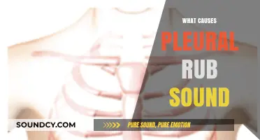 Understanding Pleural Rub: Causes and Mechanisms of the Frictional Sound