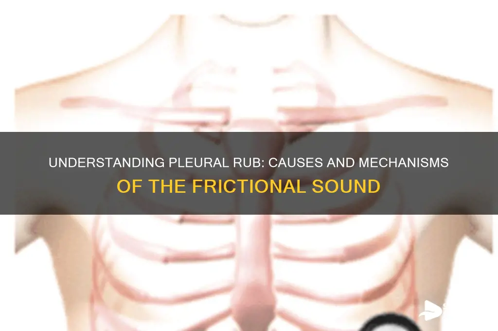 what causes pleural rub sound