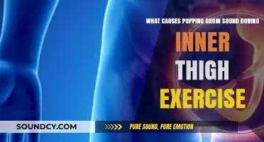 Unraveling the Mystery: Popping Groin Sounds During Inner Thigh Workouts
