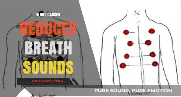 Understanding Reduced Breath Sounds: Causes and Underlying Health Conditions