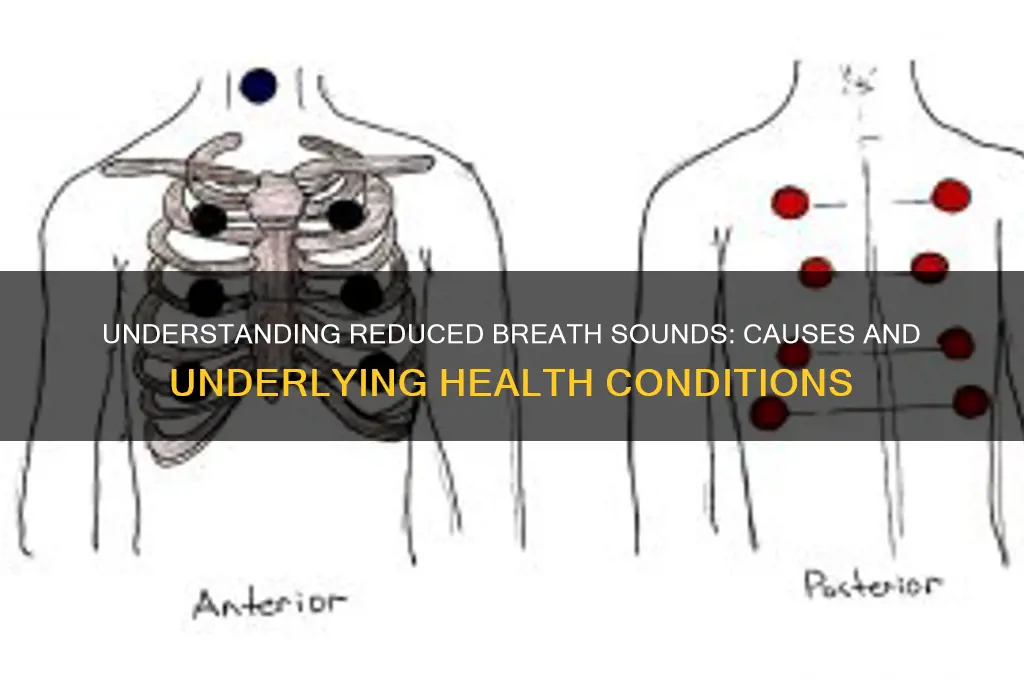 what causes reduced breath sounds