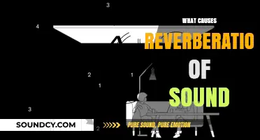 Understanding Reverberation: Causes of Sound Reflection in Spaces