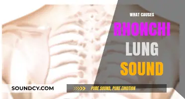 Understanding Rhonchi: Causes of Distinct Lung Sounds Explained