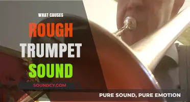 Unraveling the Mystery: What Causes a Rough Trumpet Sound?