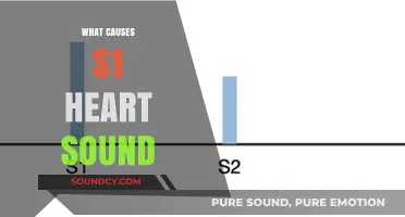 Understanding the Origins of the S1 Heart Sound: A Comprehensive Guide