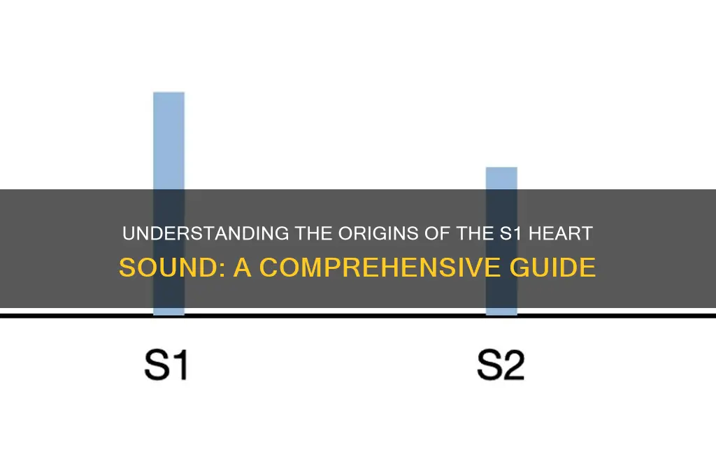 what causes s1 heart sound