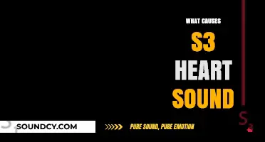 Understanding the Causes of S3 Heart Sound: A Comprehensive Guide