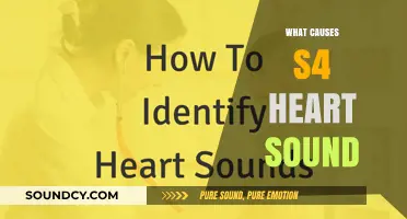 Understanding S4 Heart Sound: Causes, Symptoms, and Diagnostic Insights
