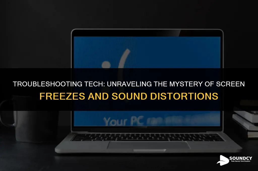 what causes screen freeze and sound distortion in computers