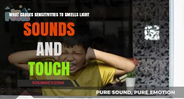 Unraveling the Mysteries: What Triggers Sensitivities to Smells, Light, Sounds, and Touch?
