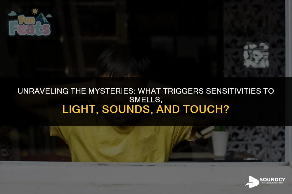 what causes sensitivities to smells light sounds and touch
