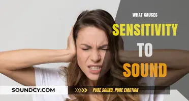 Understanding Hyperacusis: Causes of Sensitivity to Everyday Sounds Explained