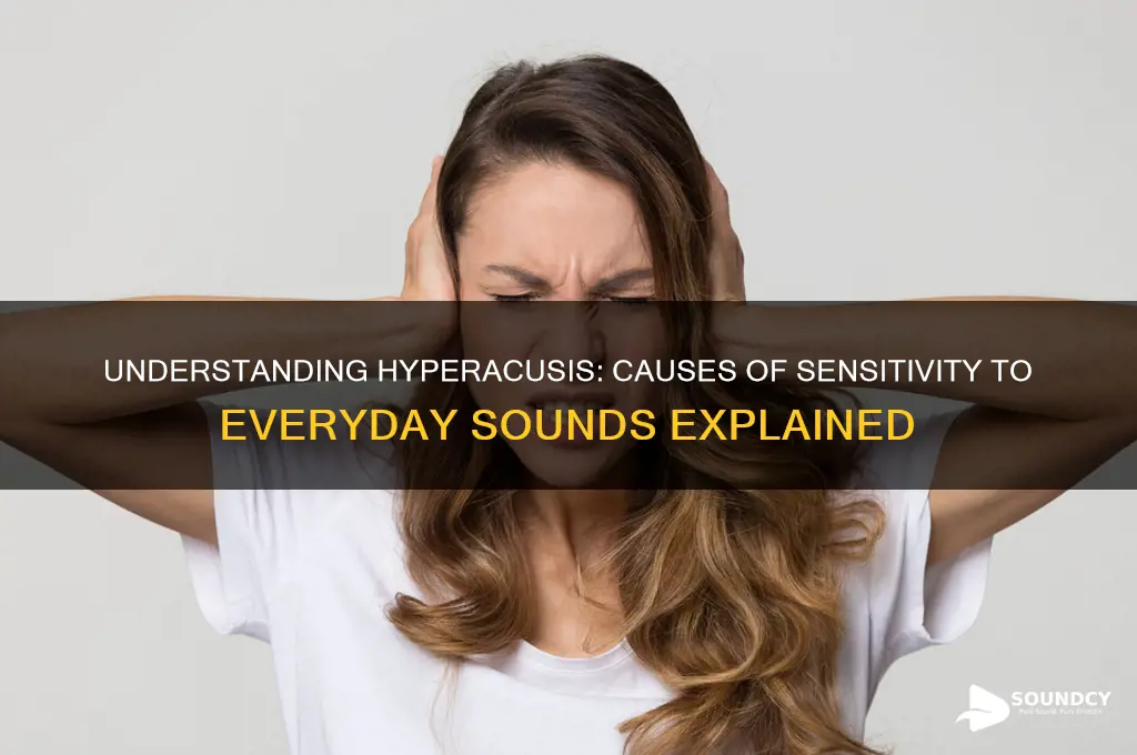 what causes sensitivity to sound