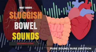 Understanding Sluggish Bowel Sounds: Causes and Potential Underlying Factors
