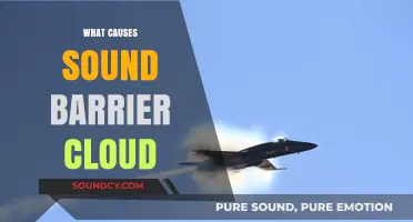 Understanding the Science Behind Sound Barrier Clouds: Causes Explained