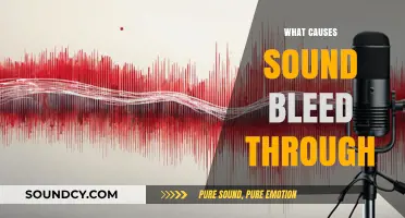 Understanding Sound Bleed: Causes and Solutions for Audio Interference