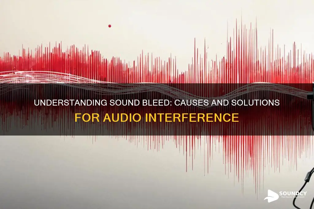 what causes sound bleed through