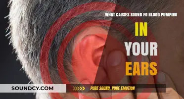 The Mysterious Pulse: Exploring the Causes of Sound in Your Ears