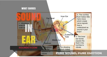 Unraveling the Mystery: What Causes Sound in Your Ear?
