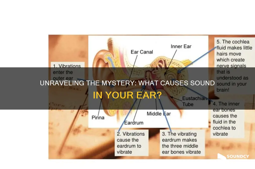 what causes sound in ear
