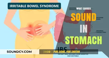 Understanding the Causes of Stomach Noises: What’s Behind the Sounds?