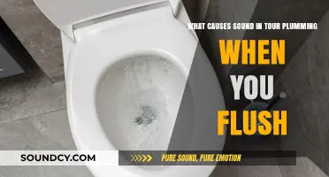 Decoding the Mysterious Flush: Plumbing Noises Explained