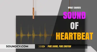Understanding the Science Behind Your Heartbeat's Audible Rhythm