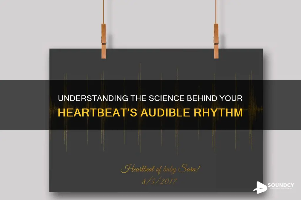 what causes sound of heartbeat