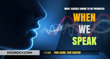 Unlocking the Mysteries of Voice: How Sound Emerges When We Speak