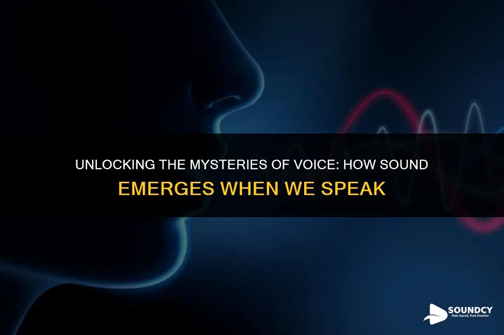 what causes sound to be produced when we speak