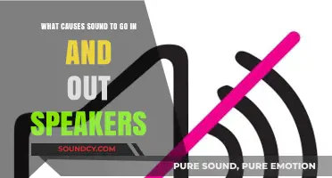 Understanding Speaker Sound Fluctuations: Causes and Solutions