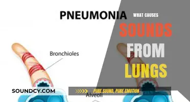 Understanding Lung Sounds: Causes, Types, and When to Seek Help
