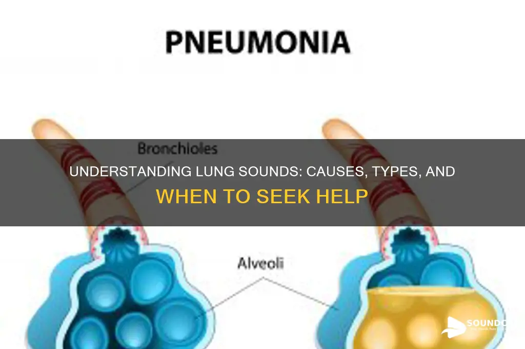 what causes sounds from lungs