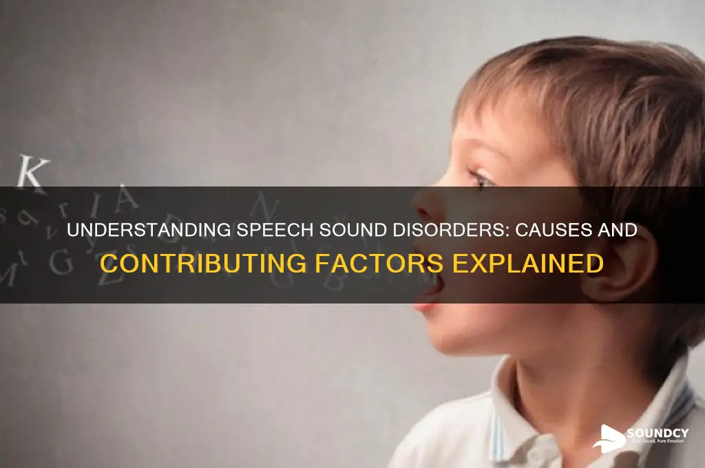 what causes speech sound disorders