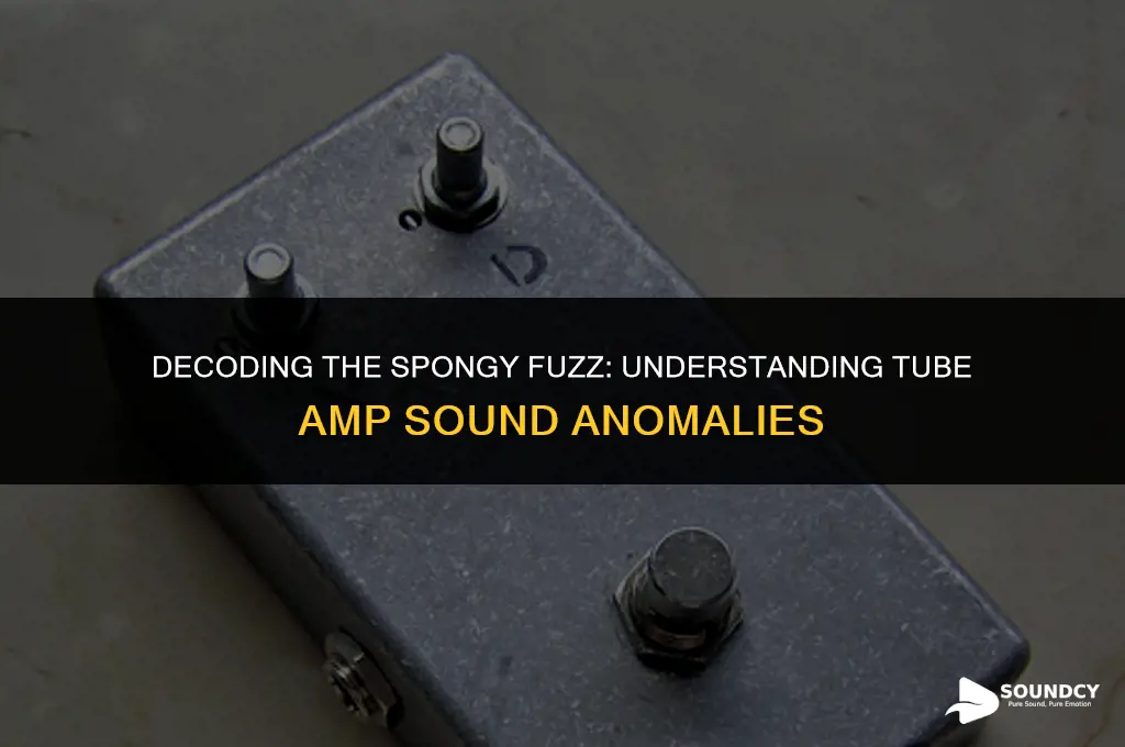what causes spongy fuzz box sound from tube amp